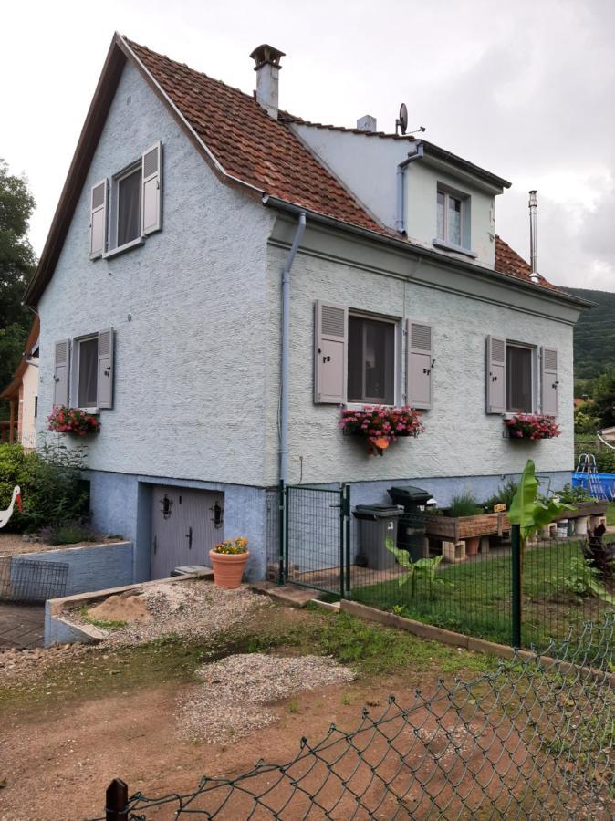 Gite Les Chiwawas D'Alsace Kaysersberg-Vignoble Eksteriør bilde