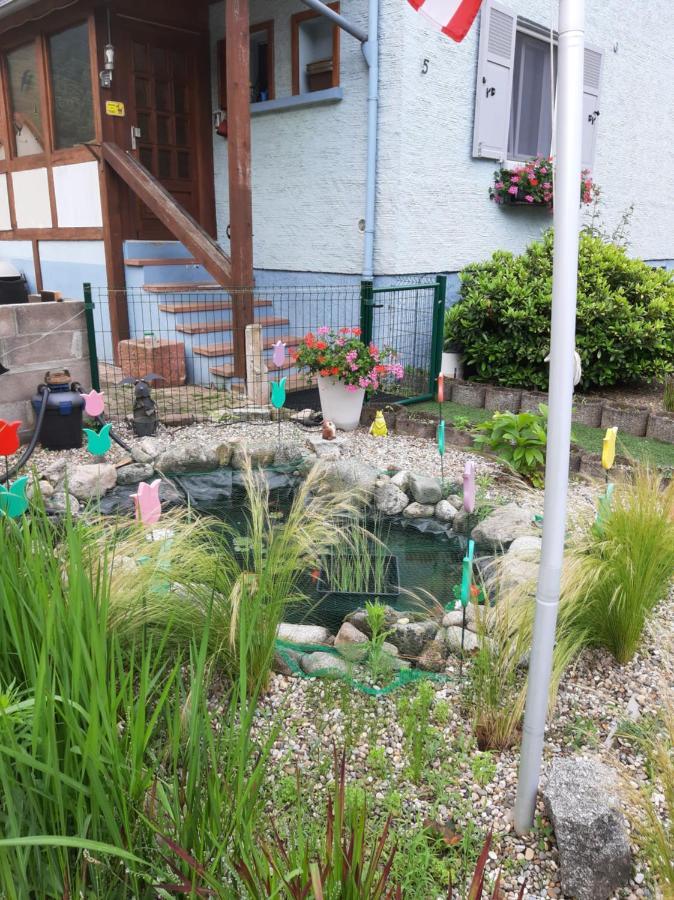 Gite Les Chiwawas D'Alsace Kaysersberg-Vignoble Eksteriør bilde