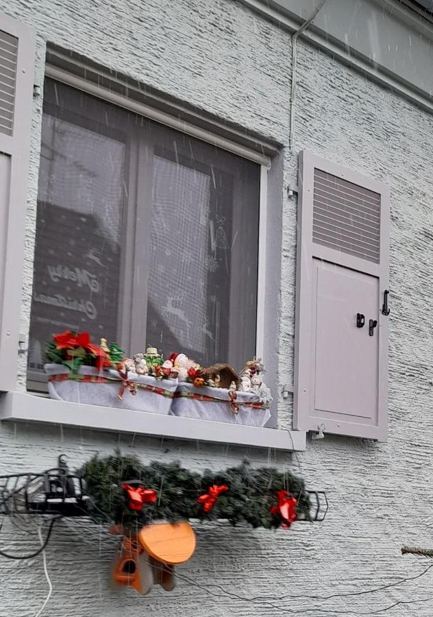 Gite Les Chiwawas D'Alsace Kaysersberg-Vignoble Eksteriør bilde